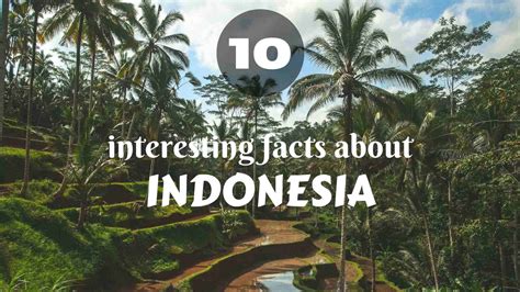 general information about indonesia